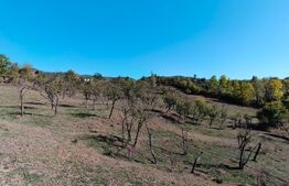 Teren extravilan cu priveliște superba , livadă și potențial căsuțe de vacanță