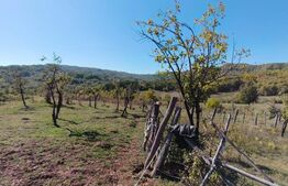 Teren extravilan cu priveliște superba , livadă și potențial căsuțe de vacanță