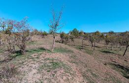 Teren extravilan cu priveliște superba , livadă și potențial căsuțe de vacanță