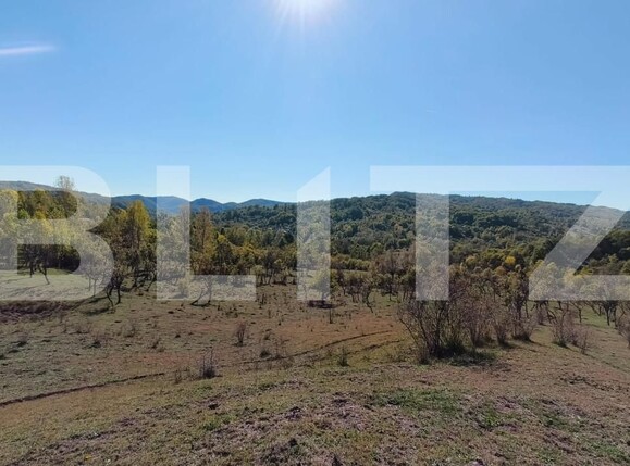 Teren de vânzare Sud-Vest - 163177TV | BLITZ Târgoviște | Poza7