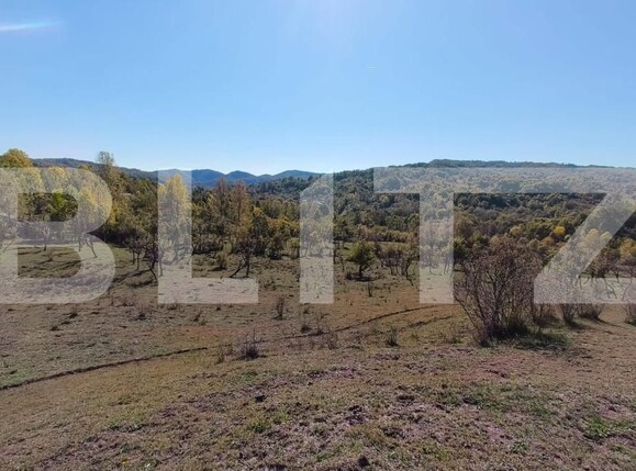 Teren de vânzare Sud-Vest - 163177TV | BLITZ Târgoviște | Poza3