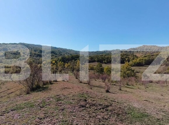 Teren de vânzare Sud-Vest - 163177TV | BLITZ Târgoviște | Poza1