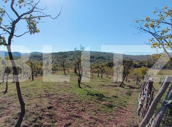 Teren de vânzare Sud-Vest - 163177TV | BLITZ Târgoviște | Poza12