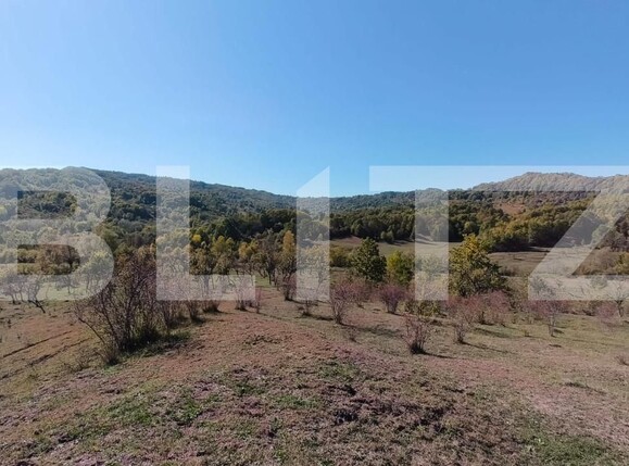 Teren de vânzare Sud-Vest - 163177TV | BLITZ Târgoviște | Poza4