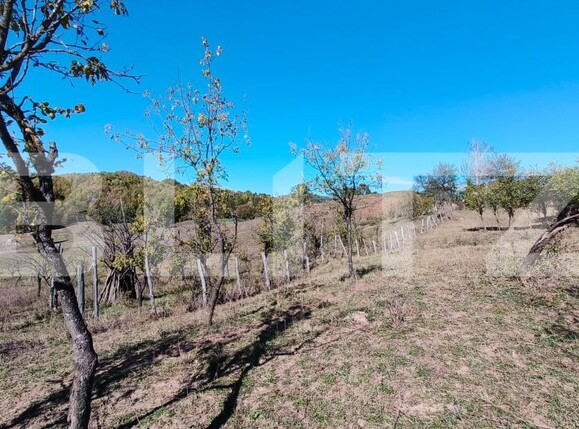 Teren de vânzare Sud-Vest - 163177TV | BLITZ Târgoviște | Poza13