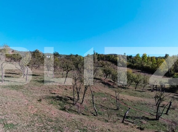 Teren de vânzare Sud-Vest - 163177TV | BLITZ Târgoviște | Poza10