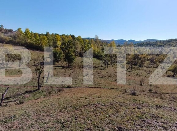 Teren de vânzare Sud-Vest - 163177TV | BLITZ Târgoviște | Poza6