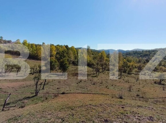 Teren de vânzare Sud-Vest - 163177TV | BLITZ Târgoviște | Poza9