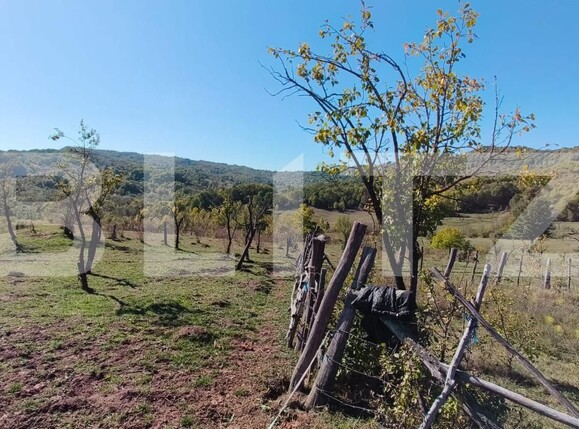 Teren de vânzare Sud-Vest - 163177TV | BLITZ Târgoviște | Poza8