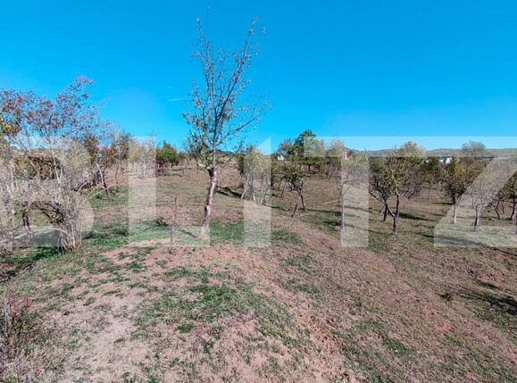 Teren de vânzare Sud-Vest - 163177TV | BLITZ Târgoviște | Poza5