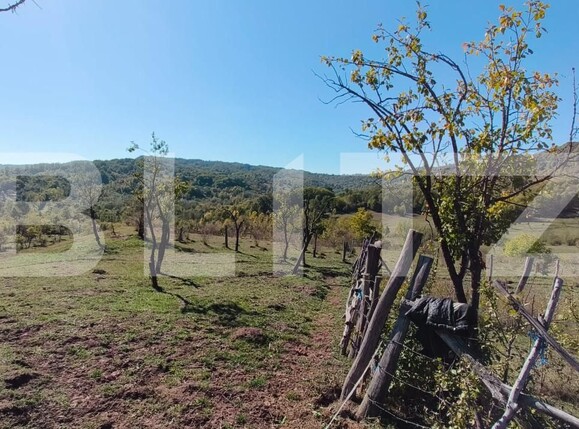 Teren de vânzare Sud-Vest - 163177TV | BLITZ Târgoviște | Poza11