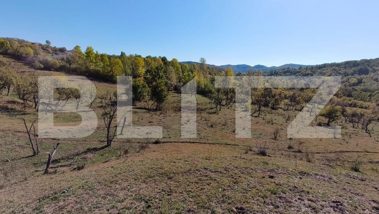 Teren de vânzare Sud-Vest - 163177TV | BLITZ Târgoviște | Poza6