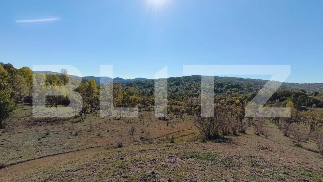 Teren de vânzare Sud-Vest - 163177TV | BLITZ Târgoviște | Poza7