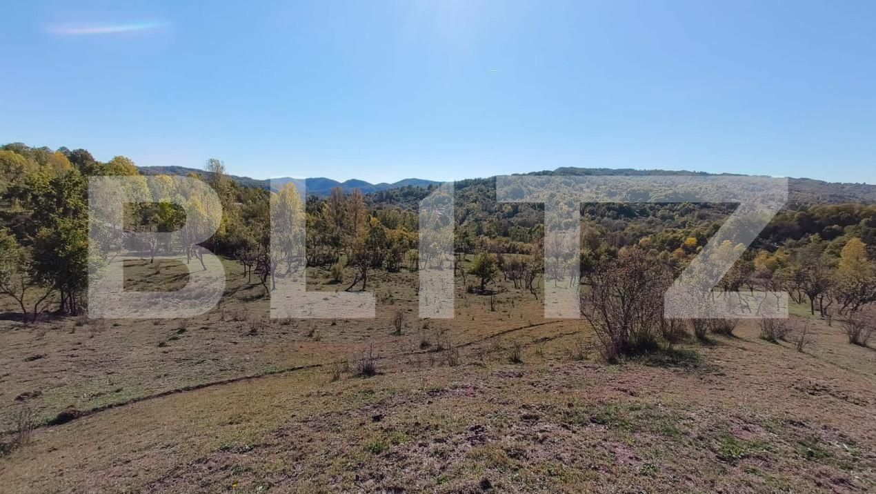 Teren de vânzare Sud-Vest - 163177TV | BLITZ Târgoviște | Poza3