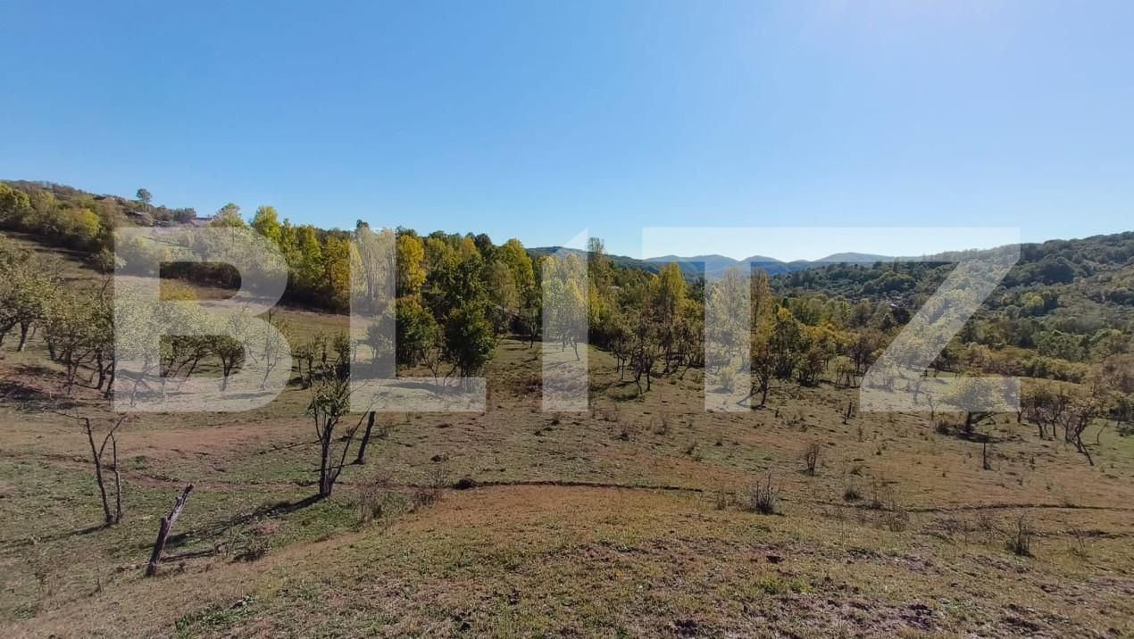 Teren de vânzare Sud-Vest - 163177TV | BLITZ Târgoviște | Poza9