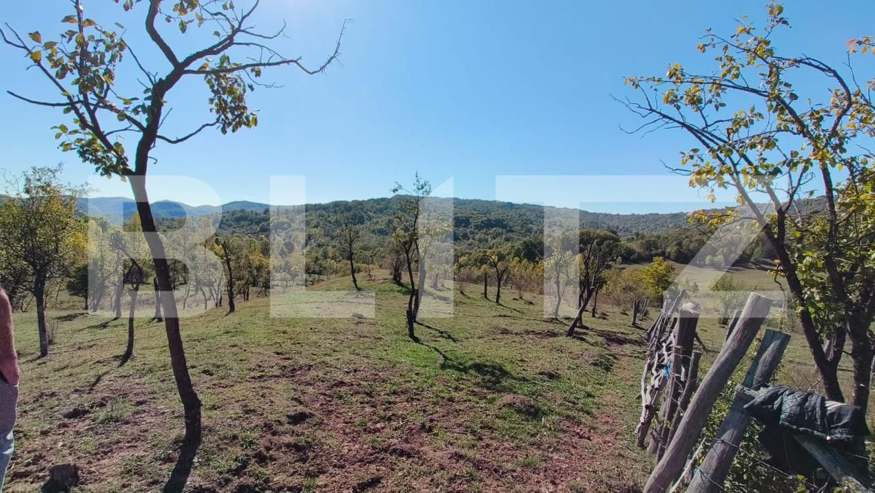 Teren de vânzare Sud-Vest - 163177TV | BLITZ Târgoviște | Poza12