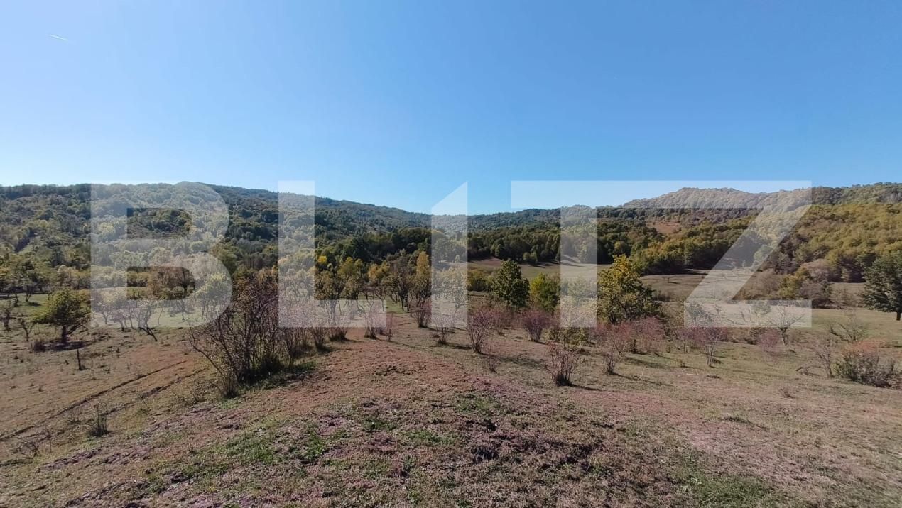 Teren de vânzare Sud-Vest - 163177TV | BLITZ Târgoviște | Poza4