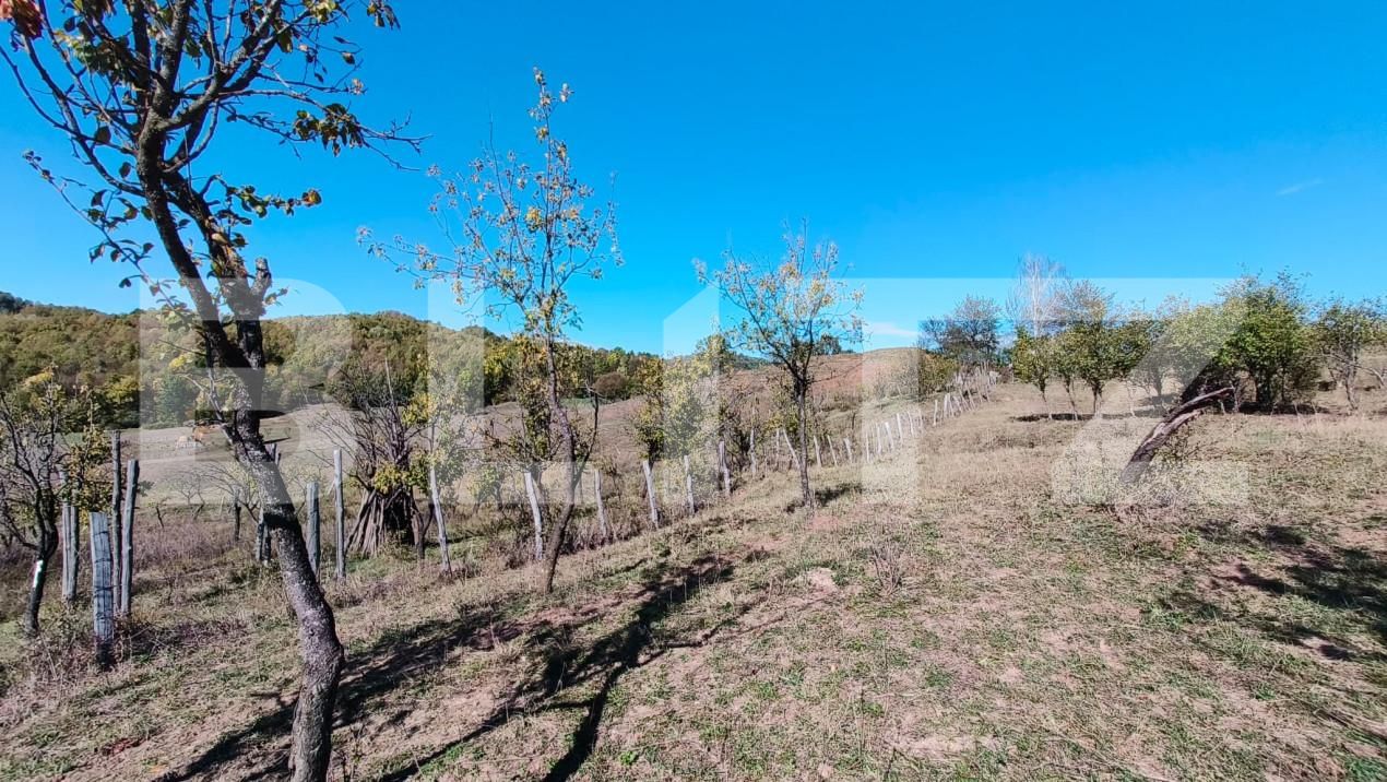 Teren de vânzare Sud-Vest - 163177TV | BLITZ Târgoviște | Poza13