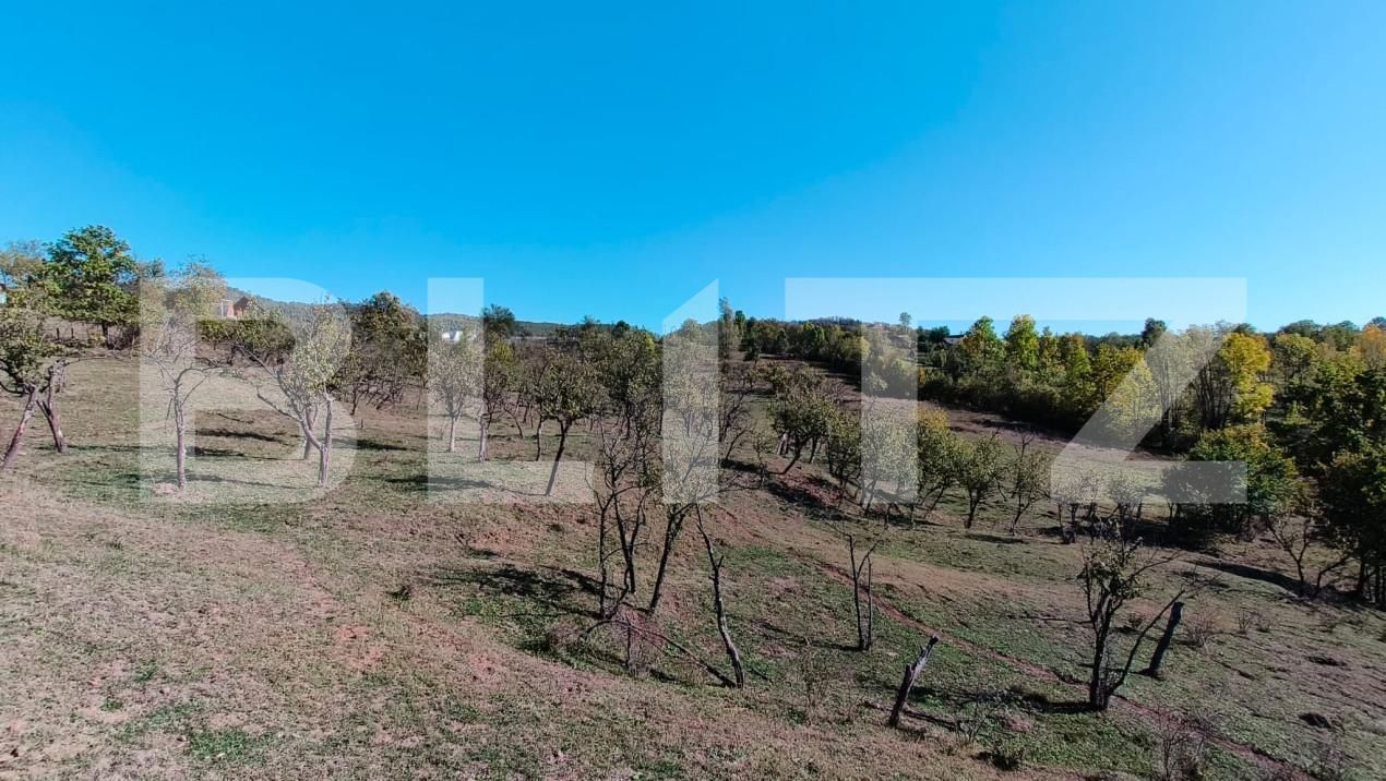 Teren de vânzare Sud-Vest - 163177TV | BLITZ Târgoviște | Poza10