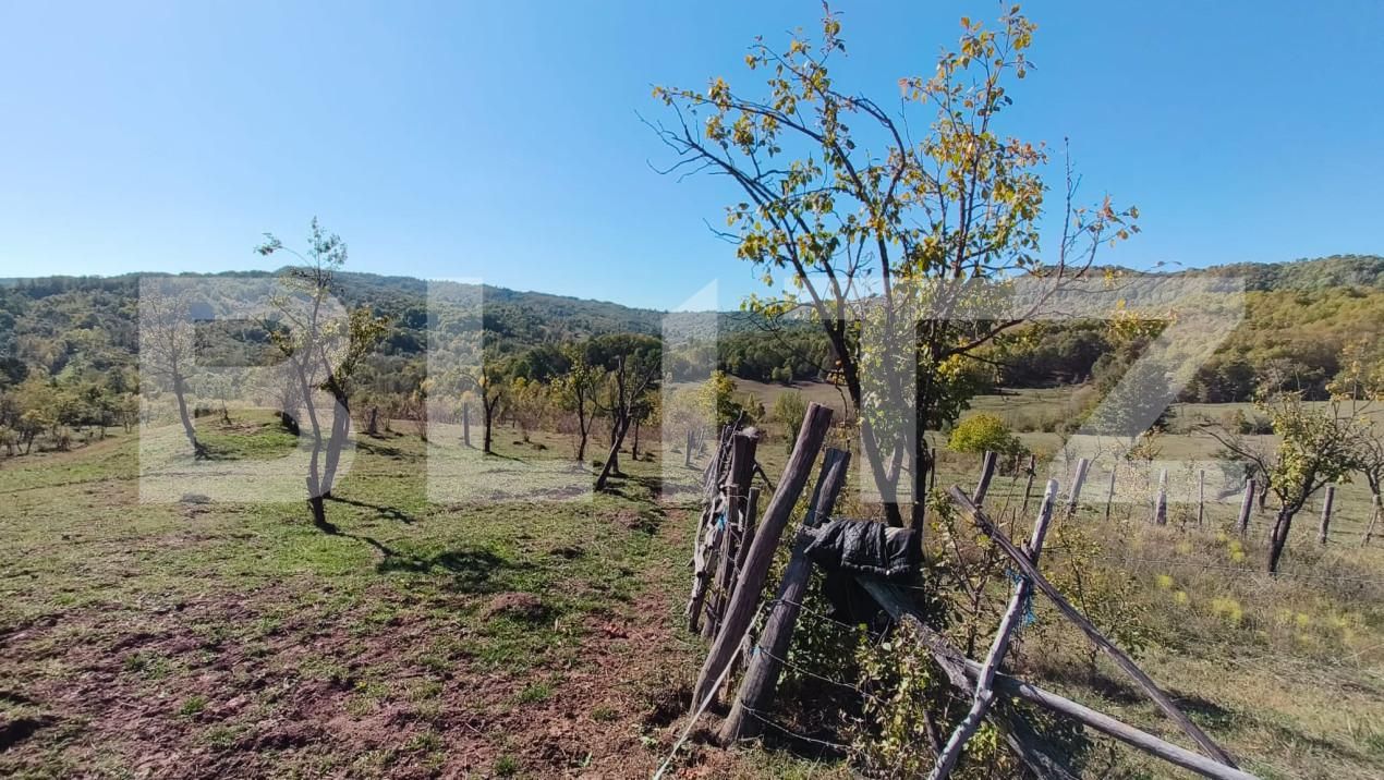 Teren de vânzare Sud-Vest - 163177TV | BLITZ Târgoviște | Poza8