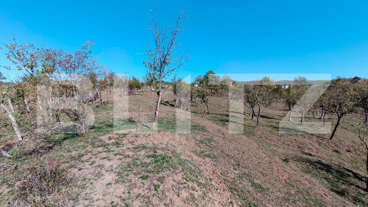 Teren de vânzare Sud-Vest - 163177TV | BLITZ Târgoviște | Poza5