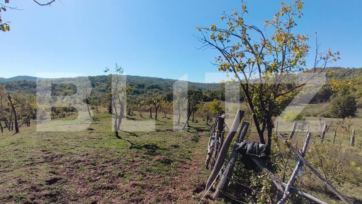 Teren de vânzare Sud-Vest - 163177TV | BLITZ Târgoviște | Poza11