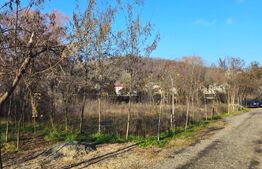 Teren intravilan 738 mp, zona Viforata, Comision 0