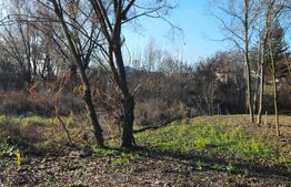 Teren intravilan 738 mp, zona Viforata, Comision 0