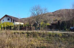 Teren intravilan 738 mp, zona Viforata, Comision 0