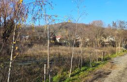 Teren intravilan 738 mp, zona Viforata, Comision 0