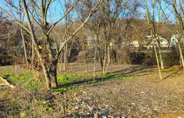 Teren intravilan 738 mp, zona Viforata, Comision 0