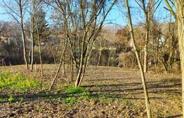 Teren intravilan 738 mp, zona Viforata, Comision 0