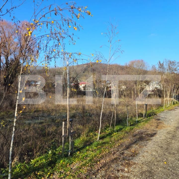 Teren de vânzare Exterior Nord - 163680TV | BLITZ Târgoviște | Poza3