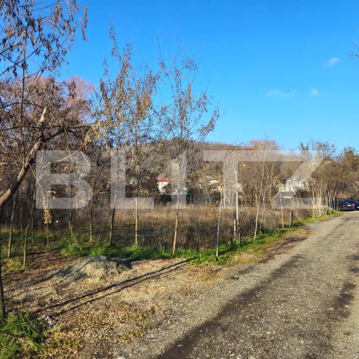 Teren de vânzare Exterior Nord - 163680TV | BLITZ Târgoviște | Poza6