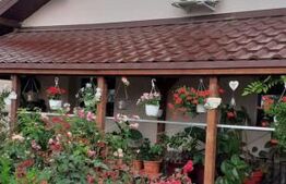 Casa Matăsaru suprafață construită 147 mp teren 890 mp + teren extravilan 6000mp