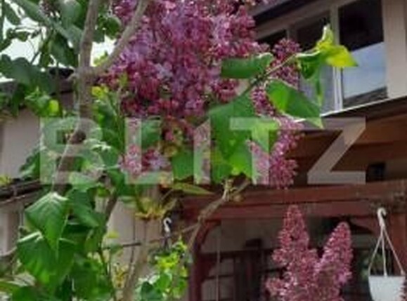 Casa de vânzare 5 camere Matasaru - 163705CV | BLITZ Târgoviște | Poza20