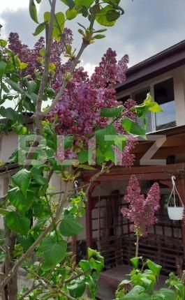 Casa de vânzare 5 camere Matasaru - 163705CV | BLITZ Târgoviște | Poza20