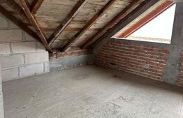 Casa de vanzare la rosu, 10 camere, 246,50 mp, zona Exterior Sud