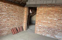 Casa de vanzare la rosu, 10 camere, 246,50 mp, zona Exterior Sud