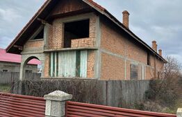 Casa de vanzare la rosu, 10 camere, 246,50 mp, zona Exterior Sud