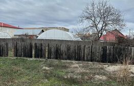 Casa de vanzare la rosu, 10 camere, 246,50 mp, zona Exterior Sud