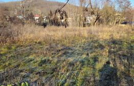 Teren intravilan, 738 mp, zona Viforata, Comision 0