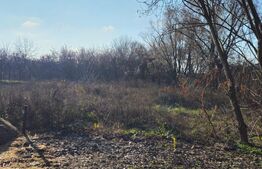 Teren intravilan, 738 mp, zona Viforata, Comision 0