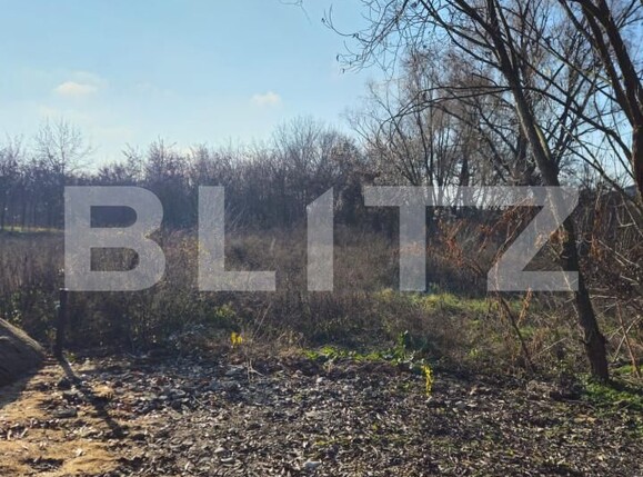 Teren de vânzare Exterior Nord - 164436TV | BLITZ Târgoviște | Poza3