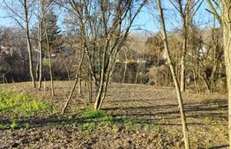 Teren intravilan 738 mp, zona Viforata, Comision 0