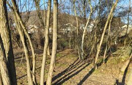 Teren intravilan 738 mp, zona Viforata, Comision 0