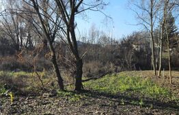 Teren intravilan 738 mp, zona Viforata, Comision 0