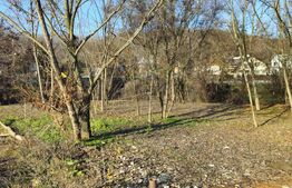 Teren intravilan 738 mp, zona Viforata, Comision 0