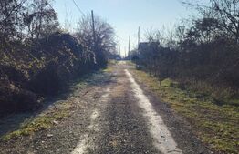 Teren intravilan 738 mp, zona Viforata, Comision 0