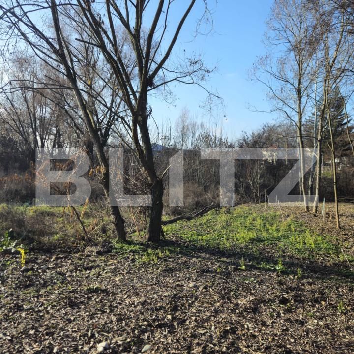 Teren de vânzare Exterior Nord - 164732TV | BLITZ Târgoviște | Poza6